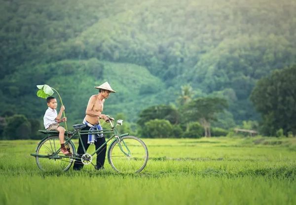 回歸鄉(xiāng)村，方知幸福 【輕鋼別墅】(圖5)